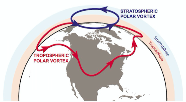 vortex schematic 1